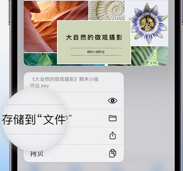 青海apple维修中心分享iPhone文件应用中存储和找到下载文件