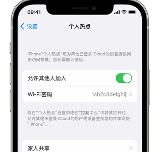 青海apple服务站点分享iPhone上个人热点丢失了怎么办 