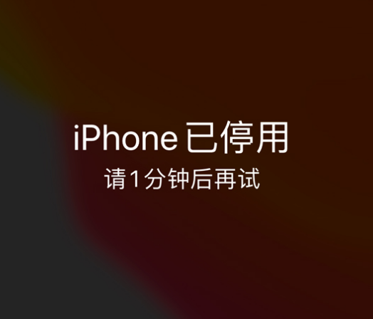 青海苹果手机维修分享:iPhone 显示“不可用”或“已停用”怎么办？还能保留数据吗？ 