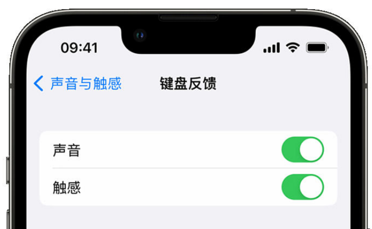 青海苹果手机维修分享iPhone 14触感键盘使用方法 