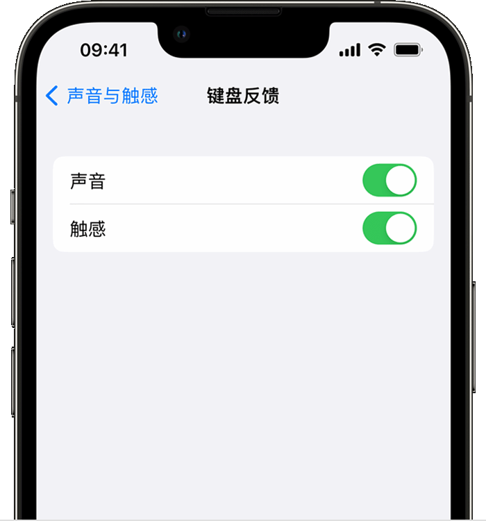 青海苹果14维修店分享如何在 iPhone 14 机型中使用触感键盘 