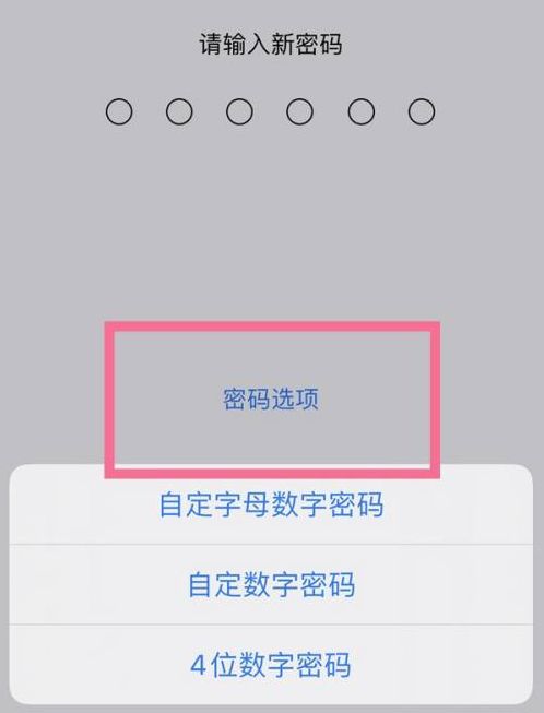 青海苹果14维修分享iPhone 14plus设置密码的方法 