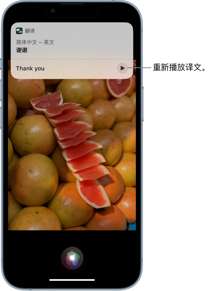 青海苹果14维修分享 iPhone 14 机型中使用 Siri：了解 Siri 能帮你做什么 