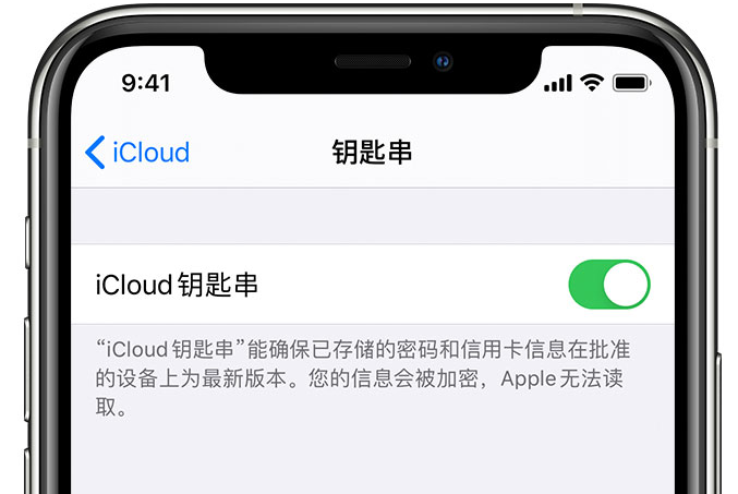 青海苹果手机维修分享在 iPhone 上开启 iCloud 钥匙串之后会储存哪些信息 