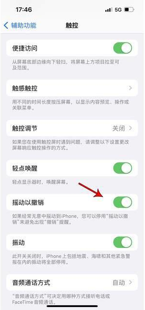 青海苹果手机维修分享iPhone手机如何设置摇一摇删除文字 