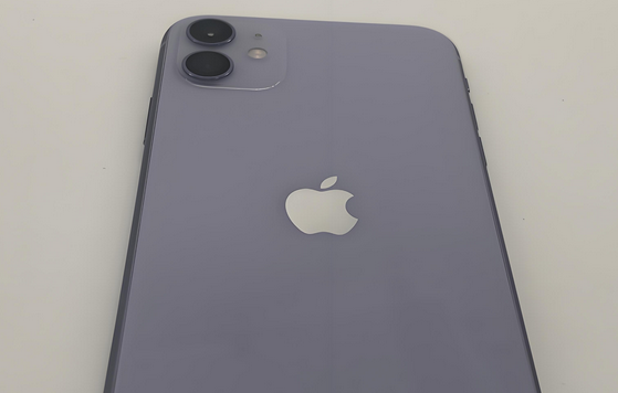 青海苹果11系统维修分享iPhone11手机系统崩溃无法开机如何解决